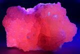 Superb Manganoan Calcite Crystal Cluster - Highly Fluorescent! #347658-1